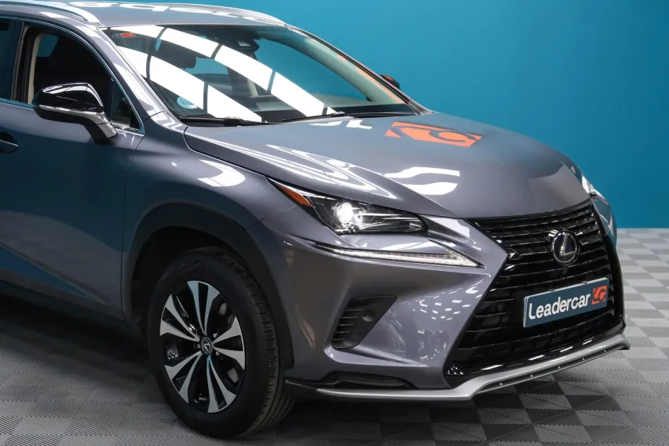 Lexus Nx 300H BUSINESS PLUS 197CV