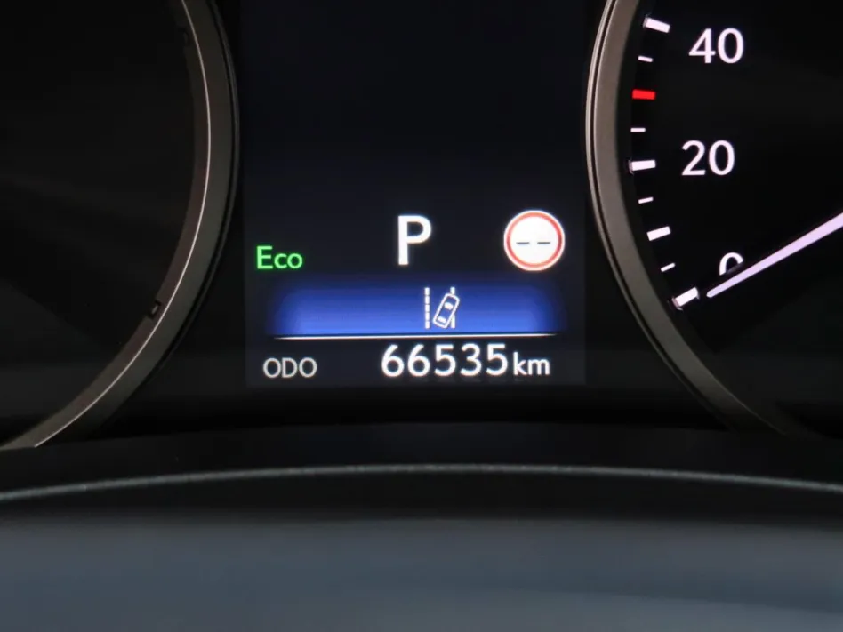 Lexus Nx 300H BUSINESS PLUS 197CV