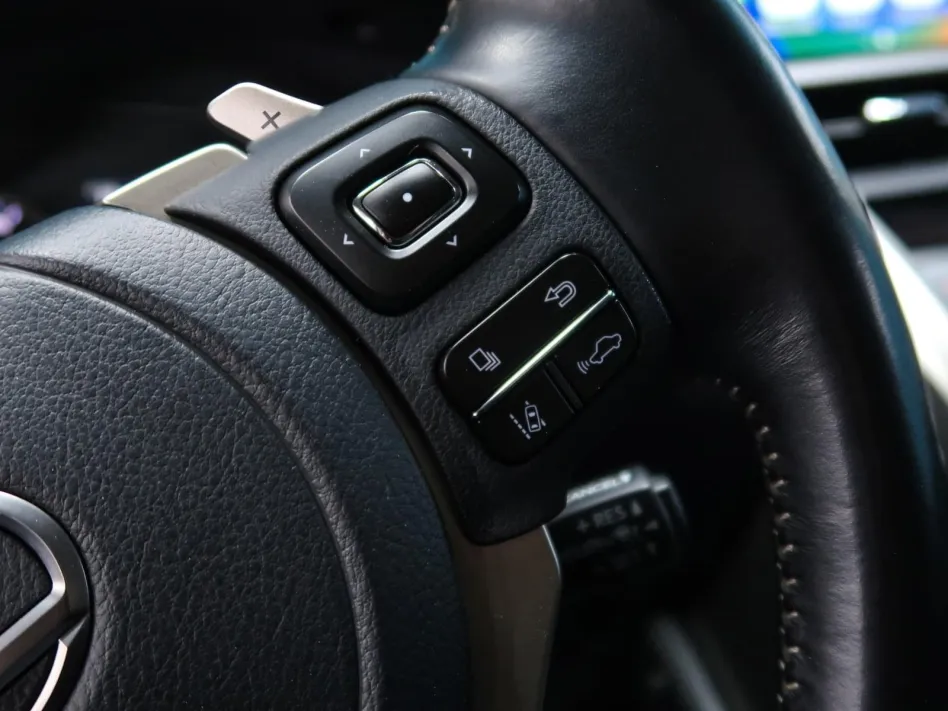 Lexus Nx 300H BUSINESS PLUS 197CV